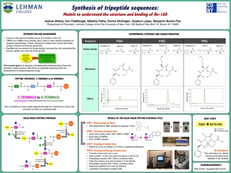 Synthesis of Tripeptide Sequences
2016 Synthesis of Tripeptide Sequences
2016